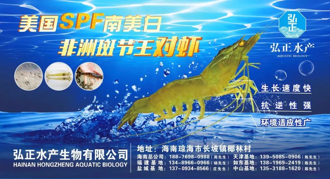 行情分析