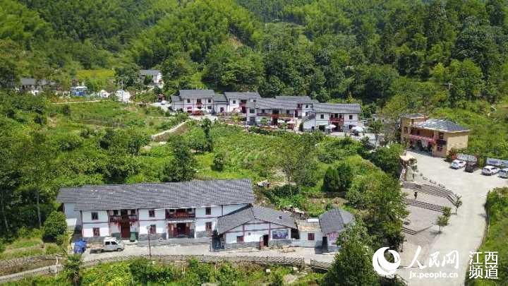 嫩村你最新,嫩村新面貌