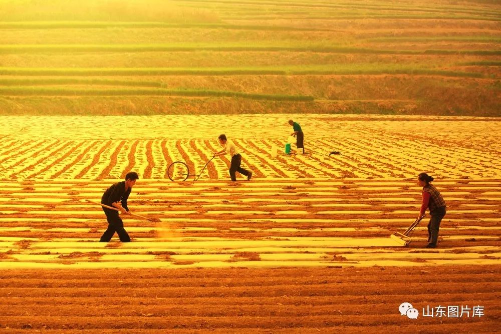 中国最新秋霞,秋天的中国，多彩画卷展现自然与人文魅力