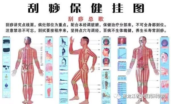 最新刮痧养生法探索，2月25日刮痧新发现与趋势