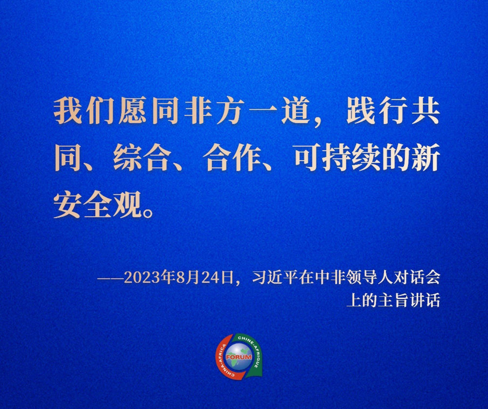 鸡泽最新网发展策略深度解析与观点阐述