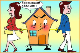 离婚后房产揭秘，隐匿资产的心灵震荡与揭秘之旅