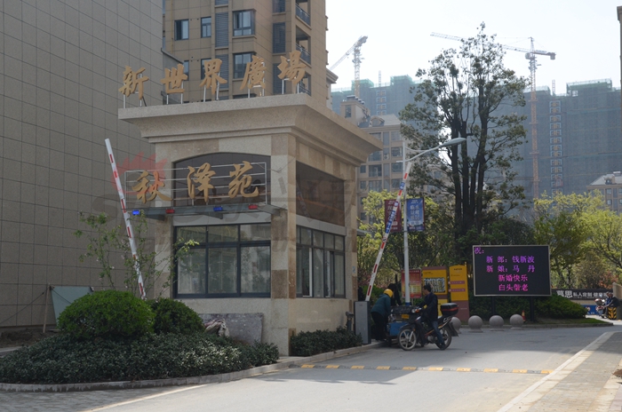 最新动态解析，28日春风步的探讨与探索