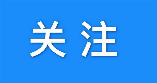 最新排名艺人深度评测与介绍，28日独家报道