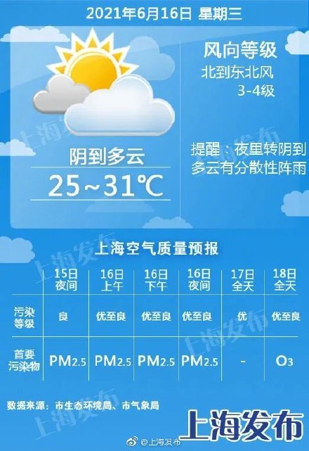 上海日常，温情时光下的最新动态（3月31日）