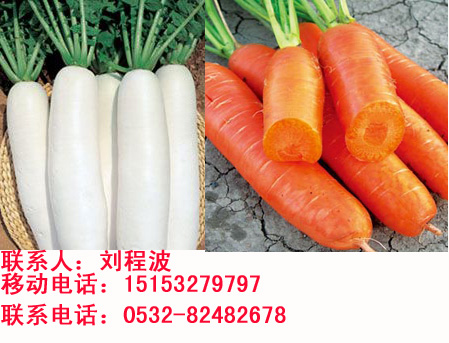 花开无言 第88页