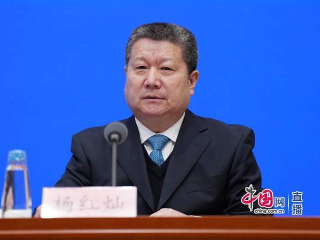 多维度视角下的杨红灿最新动态观点探析