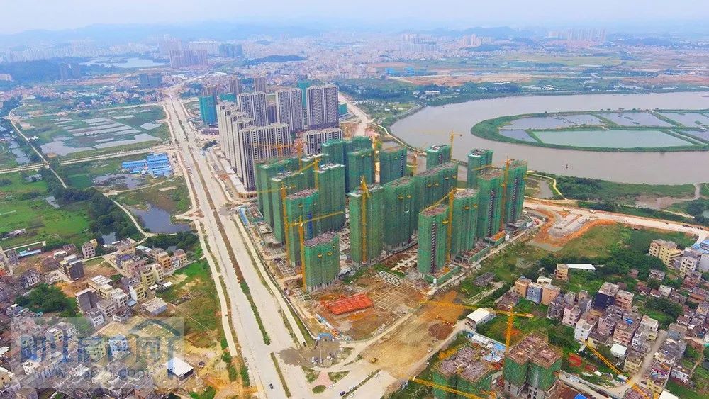 洞悉阳江楼市动态，11月2日商品房市场最新报价
