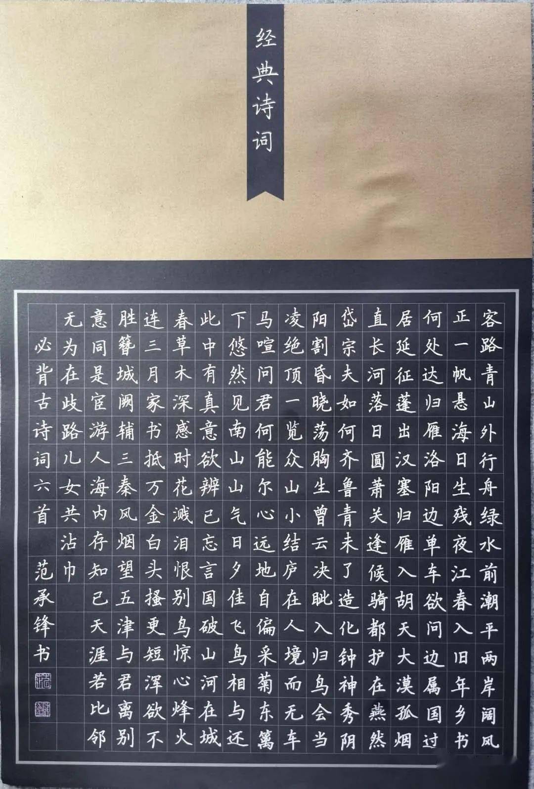 振中路小学最新消息，十一月二日动态更新