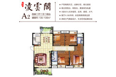 初告白 第79页