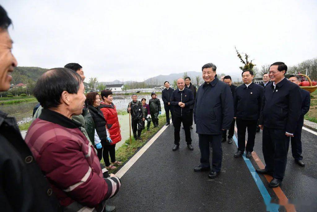 镇平县各镇最新书记镇长一览，深度观察与影响（11月4日更新）