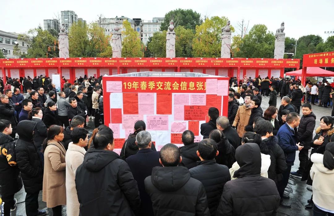 11月4日成都龙泉最新招聘网动态概览，揭秘最新招聘信息