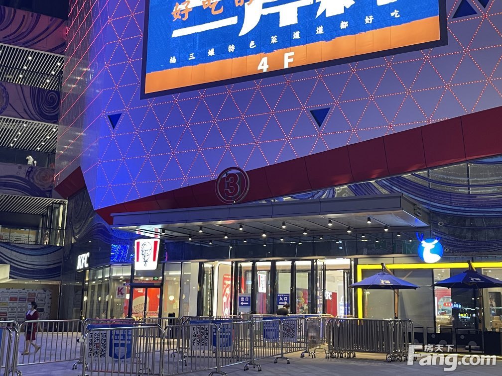 揭秘沈蔓歌最新动态，探寻音乐之旅的神秘面纱
