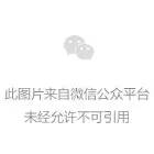 白城新城区最新动态，11月4日巨变揭示