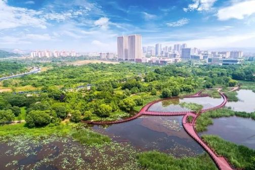 武汉花山新城新篇章，学习力量与自信种子的成长之路（最新消息）