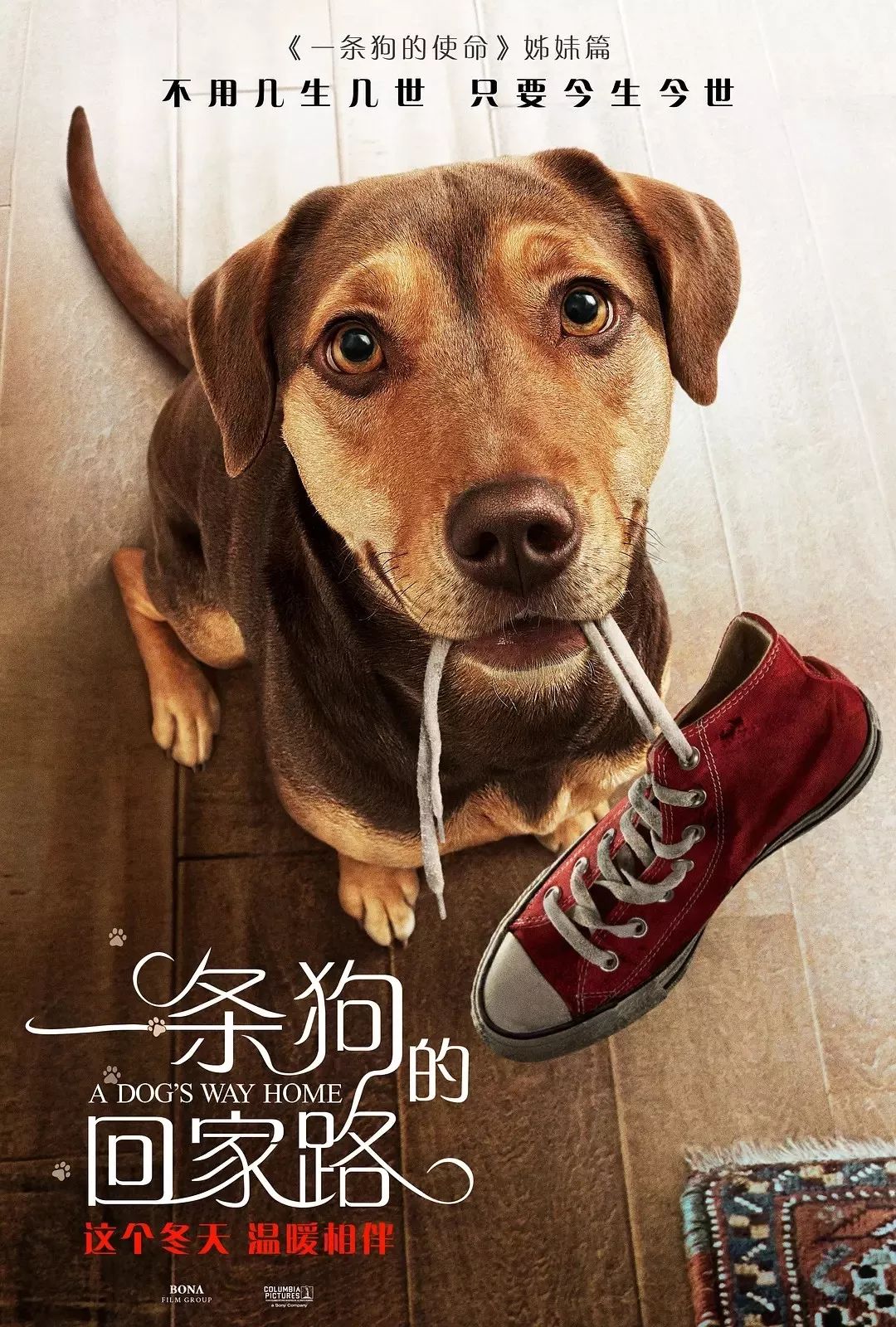 花开无言 第65页