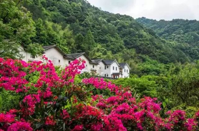 橘虞初梦 第59页