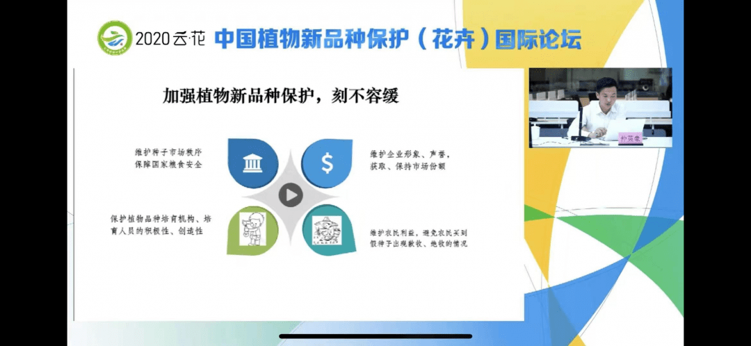 浅笑轻吟梦一曲 第48页