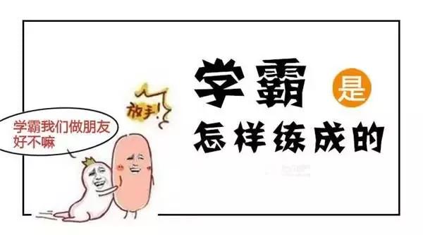 2024新奥资料免费精准,综合判断解析解答_个性版PUN770.13