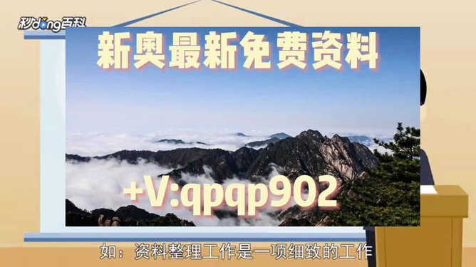 2024正版新奥资料全集精准版，动态素材及方案解析_专家OLY32.34版
