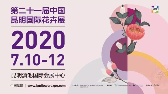 大同最新招聘信息揭秘，求职路上的奇遇与友情之花绽放日