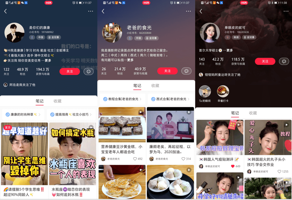 揭秘最新视频更新背后的故事与影响，11月涨粉热潮来袭