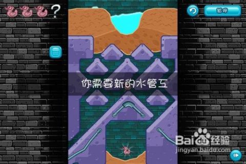 十一月风云再起，全新鳄鱼出装席卷游戏世界
