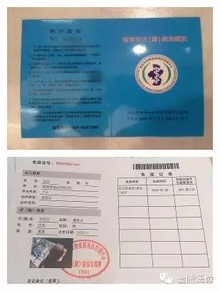 天津11月最新办狗证指南，流程、要点与注意事项