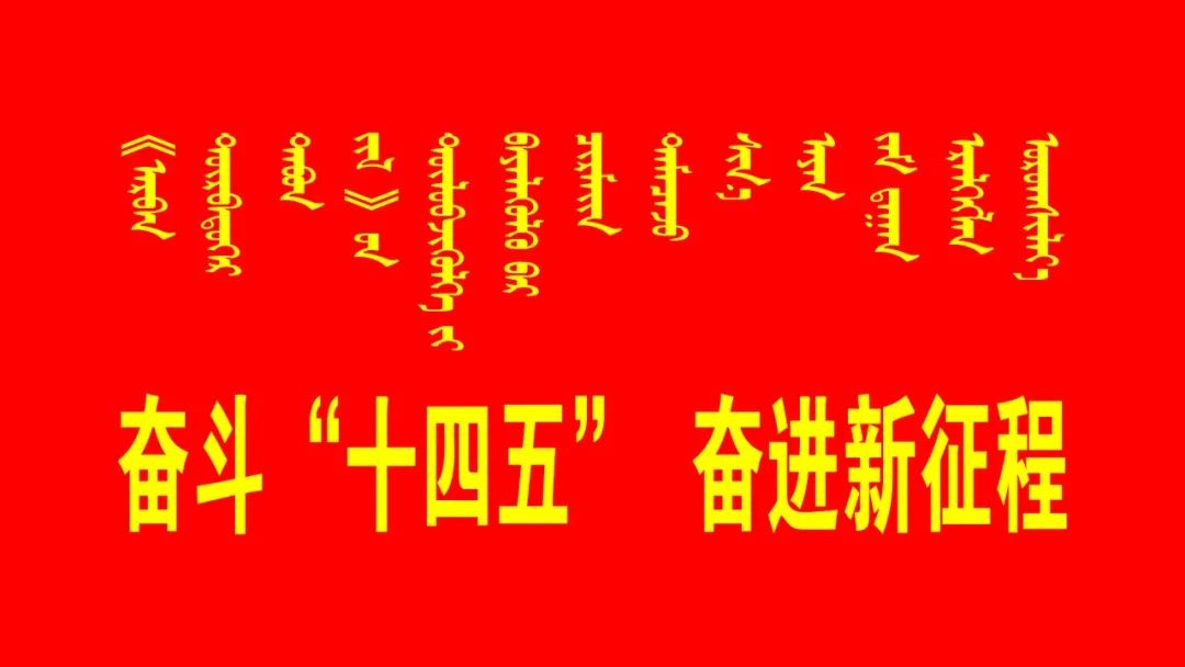 11月科右中旗最新招聘早报，职场人的黄金机会时刻