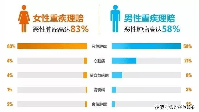 独家揭秘，饭冈佳奈子带你领略未来科技巅峰之作——掌握未来生活尽在指尖的奇妙之旅（2024年最新）