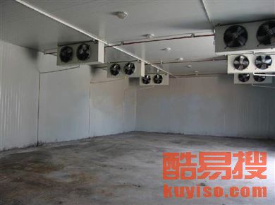 市场风云回顾与剖析，邳州冷库大蒜最新价格动态（XXXX年）