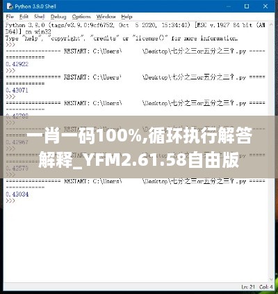 一肖一码100%,循环执行解答解释_YFM2.61.58自由版