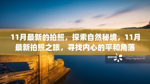 11月自然秘境探索之旅，拍照之旅寻找内心的平和角落