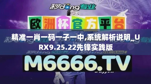 精准一肖一码一子一中,系统解析说明_URX9.25.22先锋实践版