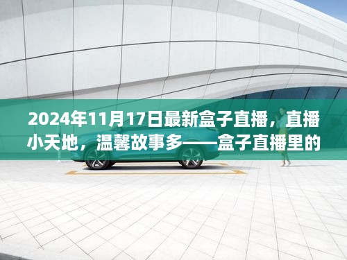 盒子直播，欢乐时光里的温馨故事分享（2024年11月17日最新直播）