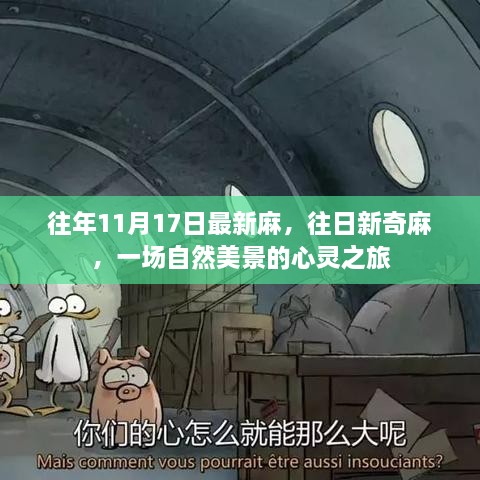 自然美景的心灵之旅，往年11月17日的麻与新奇体验