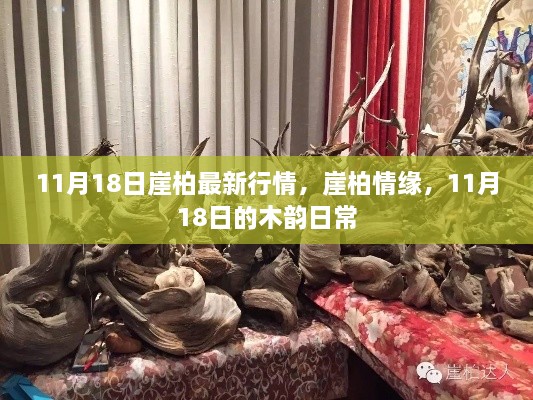 11月18日崖柏行情概览，木韵日常与崖柏情缘