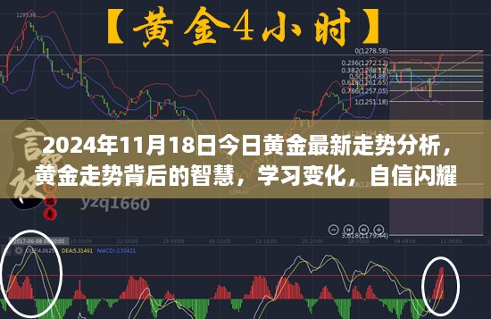 黄金走势解析，洞悉背后的智慧与变化，自信闪耀在黄金市场