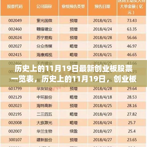 历史上的11月19日创业板股票一览表及其背后的励志故事回顾