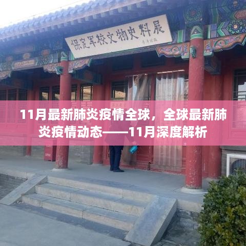 全球最新肺炎疫情动态深度解析，11月最新报告与趋势分析