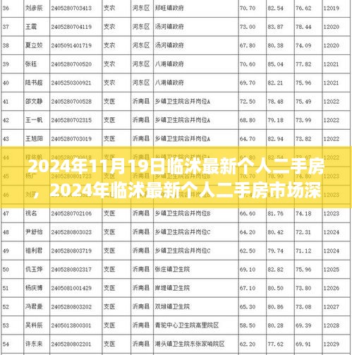 临沭最新个人二手房市场深度解析（2024年11月）