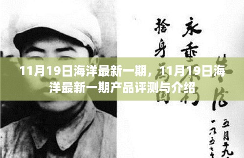 11月19日海洋最新一期产品评测与介绍概览