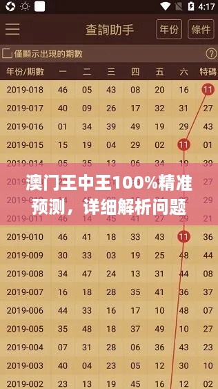 澳门王中王100%精准预测，详细解析问题_DYD8.59.69贴心版