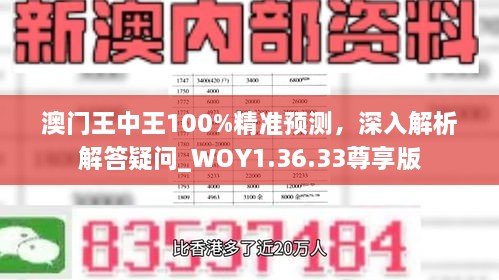 澳门王中王100%精准预测，深入解析解答疑问_WOY1.36.33尊享版