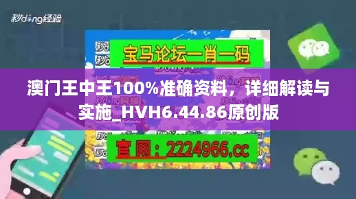 澳门王中王100%准确资料，详细解读与实施_HVH6.44.86原创版