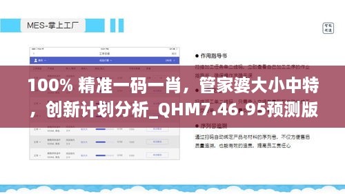 100% 精准一码一肖，管家婆大小中特，创新计划分析_QHM7.46.95预测版