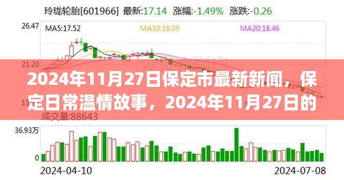 保定温情交响曲，阳光下的友情与日常新闻回顾（2024年11月27日）