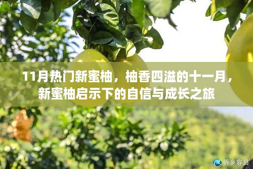 quzhikeshu 第9页