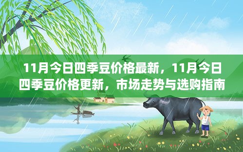 最新11月四季豆价格及市场走势与选购指南
