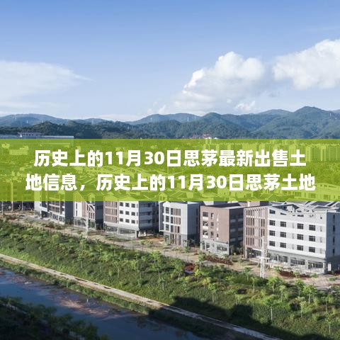 luotufeiyan 第7页